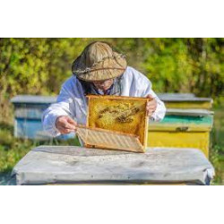 Як зареєструвати пасіку