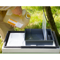 Чим харчуються бджоли?