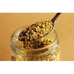  Пилок бджолиний: корисні властивості та застосування