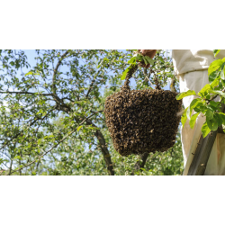 Як зробити альтернативу апірою в домашніх умовах?