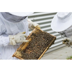 Особливості вибору костюма бджоляра