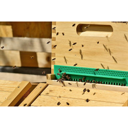 Вулики для бджіл: види та їх особливості