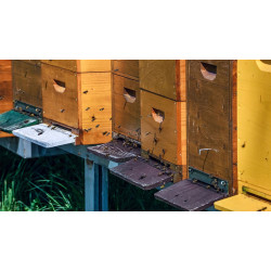 Одноколісний пасічний візок Віталія Лубенця 