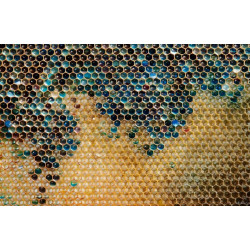 Чому мед буває синім та фіолетовим