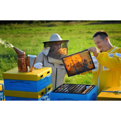 Вулики з пінополістиролу: чи варто вибирати сучасний матеріал?