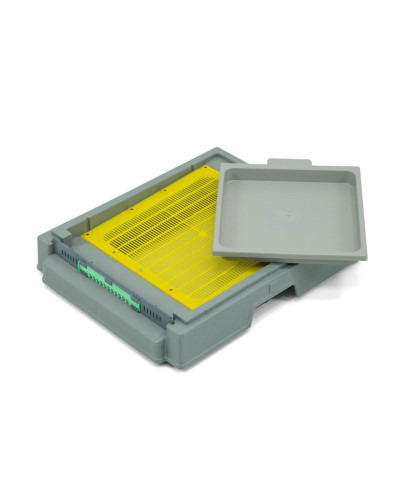 Дно для 10-ти рамкового вулика Lyson пластикове гігієнічне 