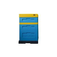 Вулик пінополістирольний Дадан на 10 рамок Lyson з пластиковим дном фарбований