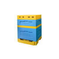 Вулик пінополістирольний Дадан на 12 рамок Lyson з гігієнічним дном на одну сім'ю фарбований