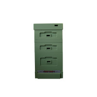 Вулик пінополістирольний Дадан на 10 рамок Lyson з гігієнічним дном фарбований (повністю зелений)