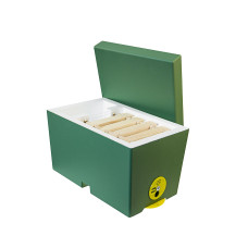 Нуклеус пенополистирольный на 1 семью Lyson крашеный зеленый