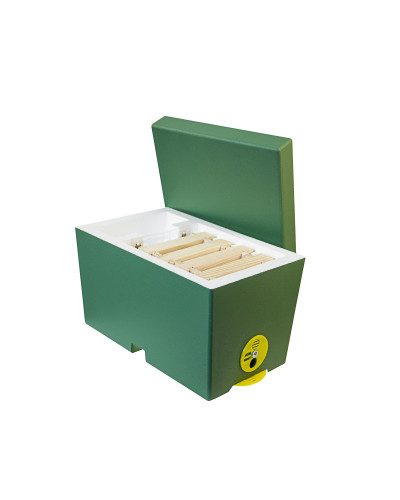 Нуклеус пінополістирольний на 1 сім`ю Lyson фарбований зелений