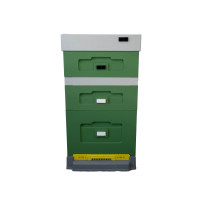 Вулик пінополістирольний Дадан на 10 рамок Lyson з пластиковим дном фарбований (Зелений)