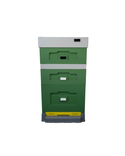 Вулик пінополістирольний Дадан на 10 рамок Lyson з пластиковим дном фарбований (Зелений)