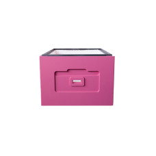 Корпус улья на 10 рамок Дадан Lyson пенополистирольный крашенный (розовый)