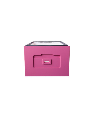 Корпус вулика на 10 рамок Дадан Lyson пінополістирольний фарбований (рожевий)