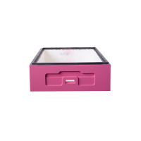 Корпус вулика на 10 рамок Дадан 1/2 Lyson пінополістирольний фарбований (рожевий)