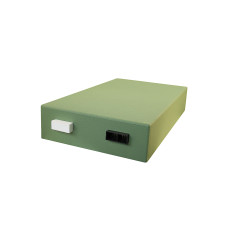 Крыша для 6-ти рамочного улья Дадан пенополистирольная крашеная (зеленый)