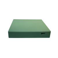 Дашок для 10-ти рамкового вулика Lyson пінополістирольний високий фарбований (зелений)