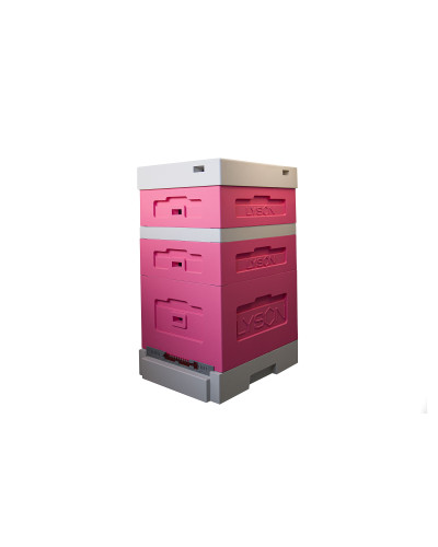 Вулик пінополістирольний Дадан на 10 рамок Lyson з гігієнічним дном фарбований (Рожевий)