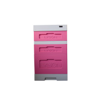 Вулик пінополістирольний Дадан на 10 рамок Lyson з гігієнічним дном фарбований (Рожевий)