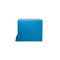 Вулик пінополістирольний для вирощування пакетів Дадан на 6 рамок фарбований