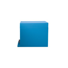 Вулик пінополістирольний для вирощування пакетів Дадан на 6 рамок фарбований