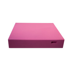 Крыша для 10-ти рамочного улья Lyson пенополистирольная высокая крашеная (розовая)