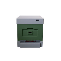 Вулик пінополістирольний Дадан на 10 рамок Lyson з гігієнічним дном фарбований (один корпус) зелений