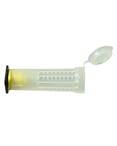 Ізолятор-бігуді для виведення бджолиних маток