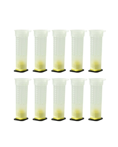 Ізолятор-бігуді для виведення бджолиних маток