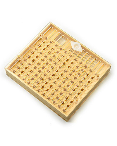 Касета (система) для виведення бджолиних маток