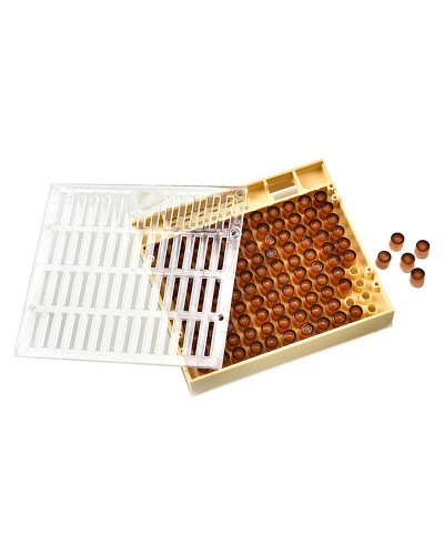 Касета (система) для виведення бджолиних маток Касета (система) для виведення бджолиних маток