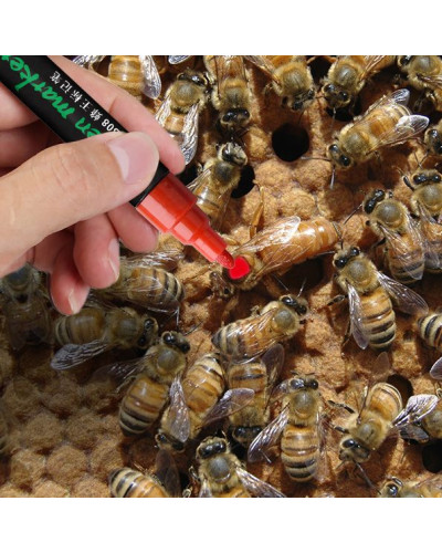 Маркер для мічення бджолиних маток (червоний)