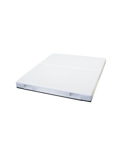 Крыша для 10-ти рамочного улья Lyson пенополистирольная низкая некрашеная с пластиком