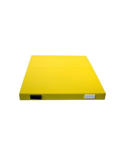 Крыша для 10-ти рамочного улья Lyson пенополистирольная низкая крашеная с пластиком