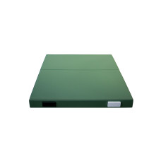 Крыша для 10-ти рамочного улья Lyson пенополистирольная низкая крашеная (зеленая) с пластиком