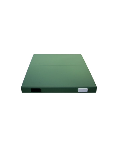 Крыша для 10-ти рамочного улья Lyson пенополистирольная низкая крашеная (зеленая) с пластиком