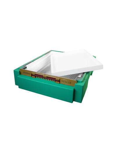 Дно для 10-ти рамочного улья Lyson пенополистирольное гигиеническое крашеное (св. зеленое)