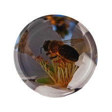 Кришка металева LITWA (Твіст-82)