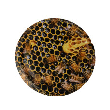 Кришка металева M17 (Твіст-82)