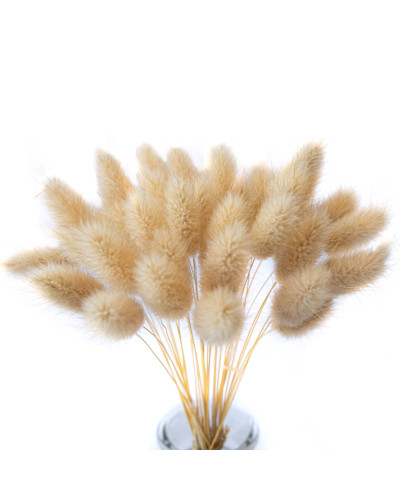 Лагурус декоративний (10 штук, кавовий)