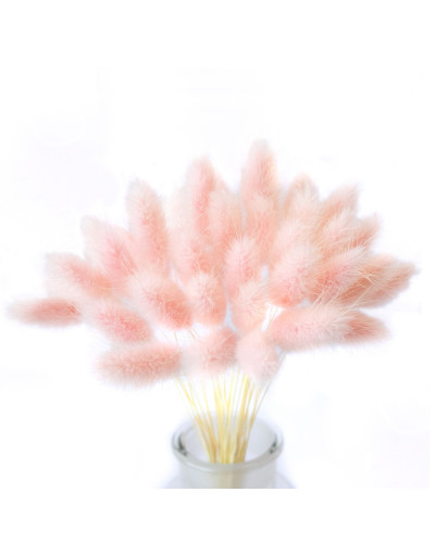 Лагурус декоративний (10 штук, рожевий)