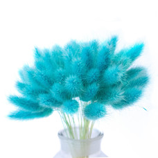 Лагурус декоративний (10 штук, голубий)
