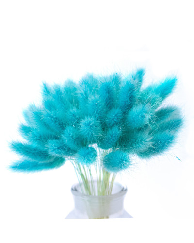 Лагурус декоративний (10 штук, голубий)