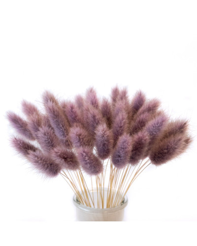 Лагурус декоративний (10 штук, фіолетовий)