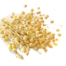 Льон фарбований (вибілений +-50 г)