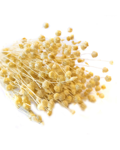 Льон фарбований (вибілений +-50 г)