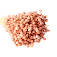 Льон фарбований (рожевий ~ 50 г)