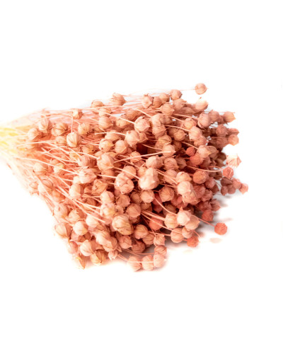 Льон фарбований (рожевий ~ 50 г)