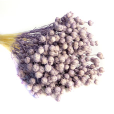 Льон фарбований (фіолетовий ~ 50 г)